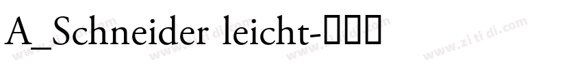 A_Schneider leicht字体转换